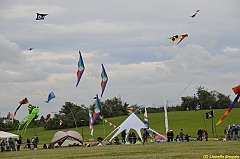 Venice kite festival_0503